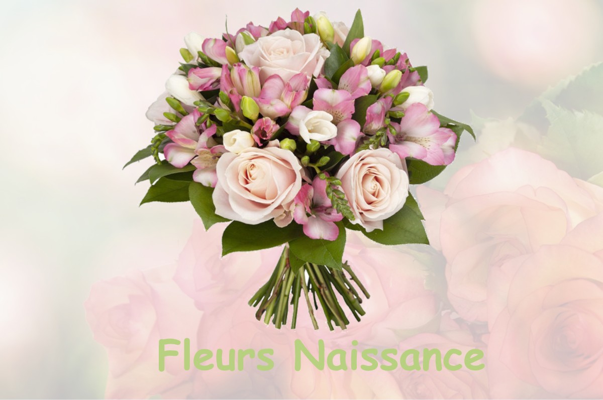 fleurs naissance SAINT-AUPRE