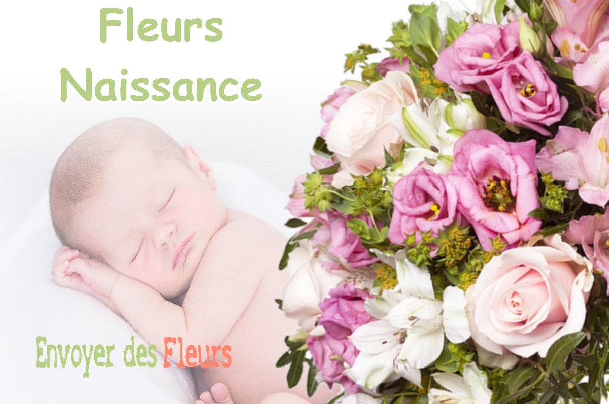 lIVRAISON FLEURS NAISSANCE à SAINT-AUPRE